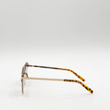 Brown Tortoise Sunglasses with Brown Lenses