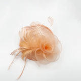 Feather & Swirl Flower Disc Fascinator in Pink