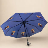 Highland Cow Umbrella in Blue