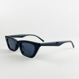 Cat Eye Plastic Frame Frame Sunglasses