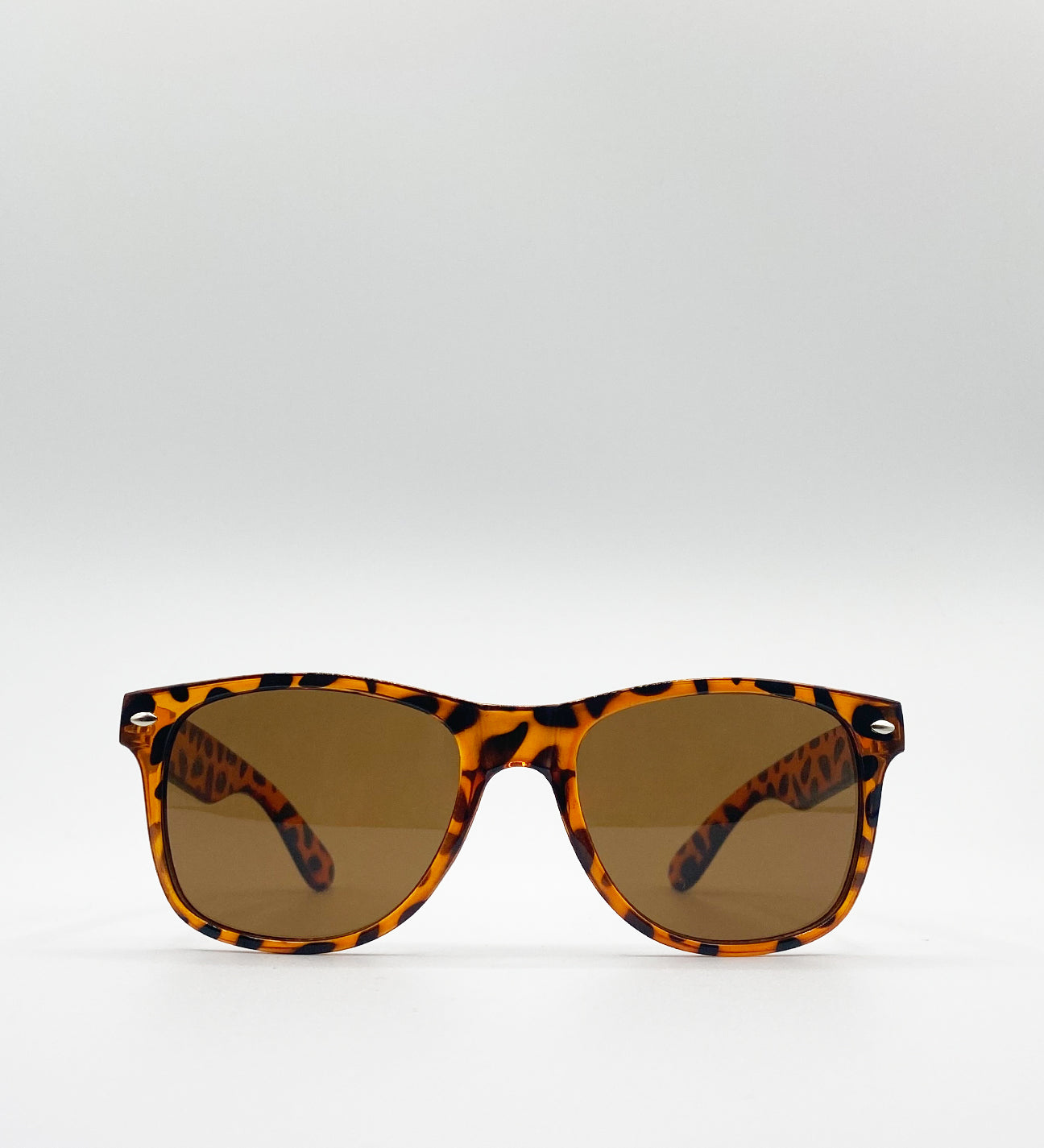Classic Wayfarer Plastic Frame Sunglasses - svnx
